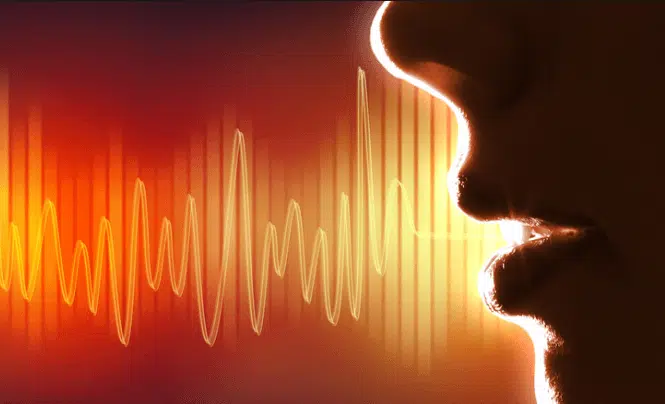 ¿Es válida la identificación de una persona a través de la voz?