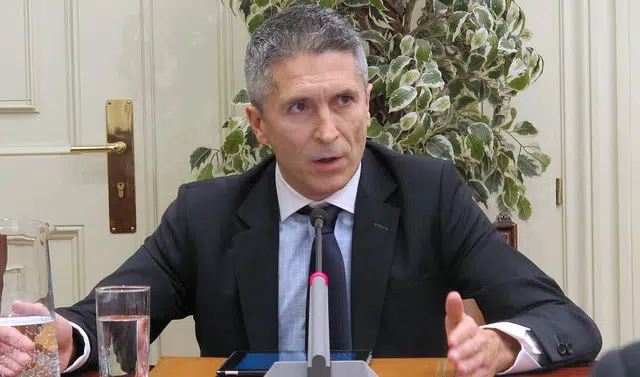 Fernando Grande Marlaska podría presidir la Comisión de Igualdad del CGPJ