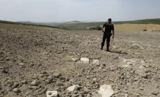 Piden más de 300.000 euros por plantar olivos sobre unas ruinas romanas