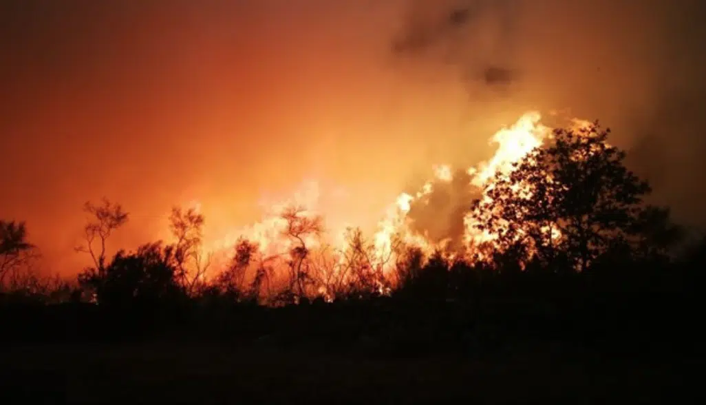 El fiscal superior de Galicia sugiere una posible «planificación» de los incendios