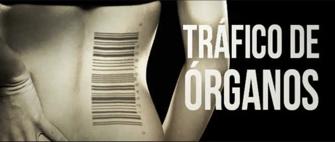 El Supremo confirma la primera condena por tráfico ilegal de órganos