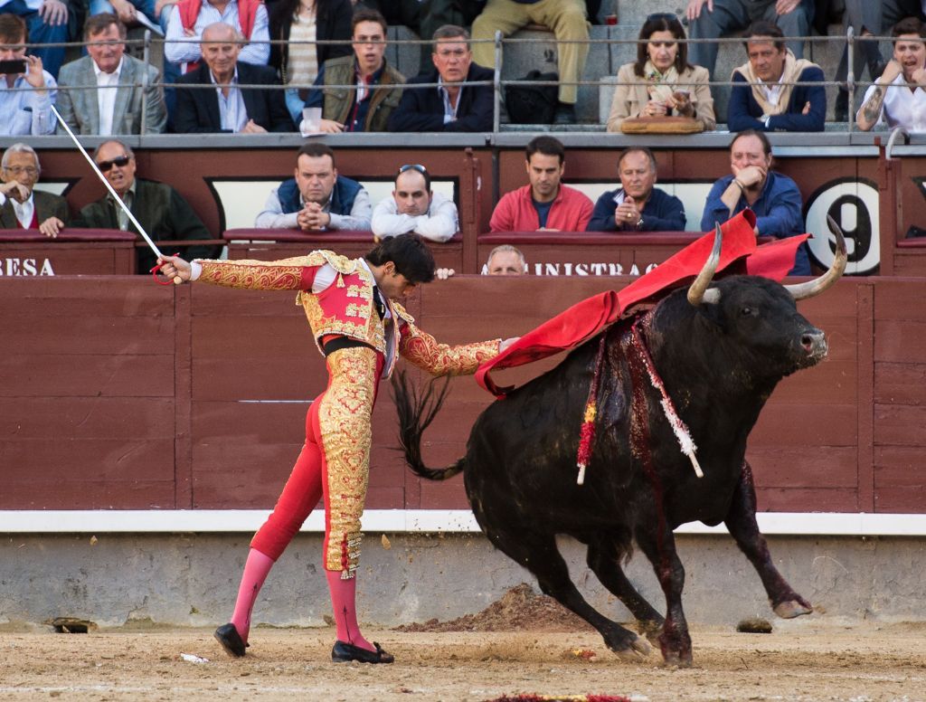 La mujer que insultó al fallecido torero Víctor Barrio a través de las  redes se retracta públicamente e indemniza a la familia - Confilegal