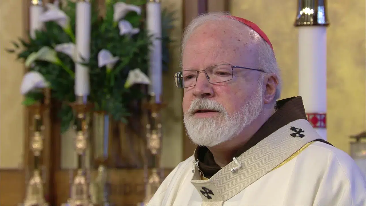 El cardenal O’Malley afirma que los obispos estadounidenses han perdido la confianza de los católicos