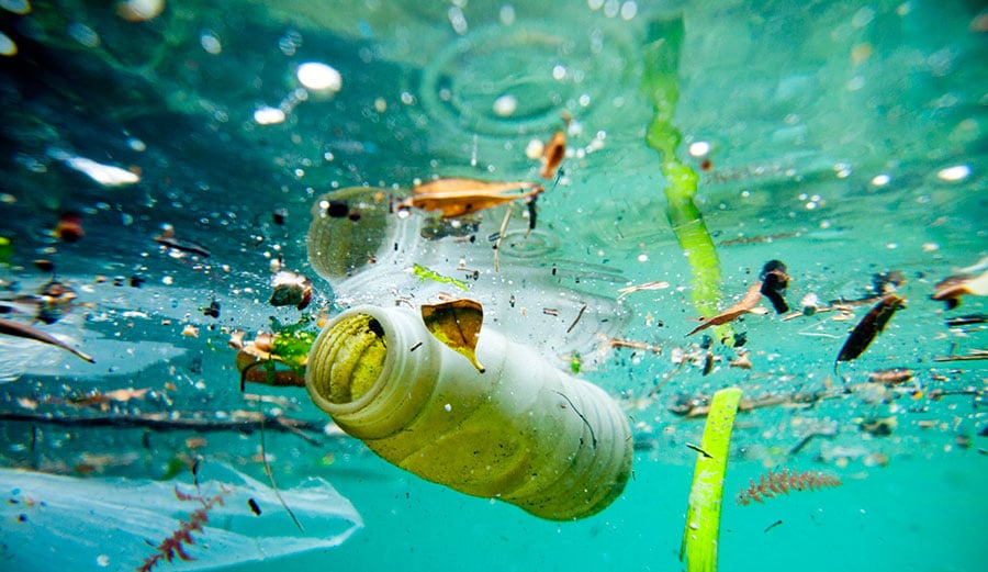 ‘Mares Circulares’ de Coca-Cola: un proyecto integral de economía circular