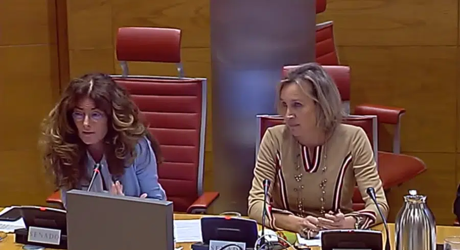 Winkels y Belío señalaron al Senado los «agujeros negros» del Derecho de Familia y sus soluciones