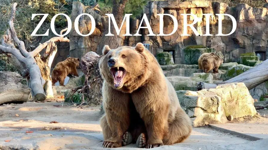 Condenados dos exempleados del Zoo de Madrid por un fraude de más de 200.000 euros a través de «una taquilla fantasma»