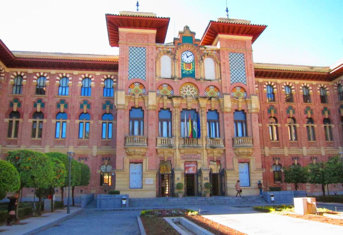 Admitida la demanda de un alumno de la Universidad de Córdoba por la