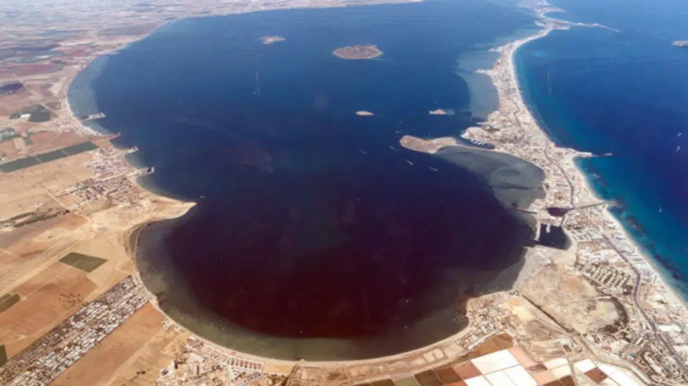 El TSJ de Murcia ordena arrancar 4,9 hectáreas de cítricos en zona de protección integral del Mar Menor