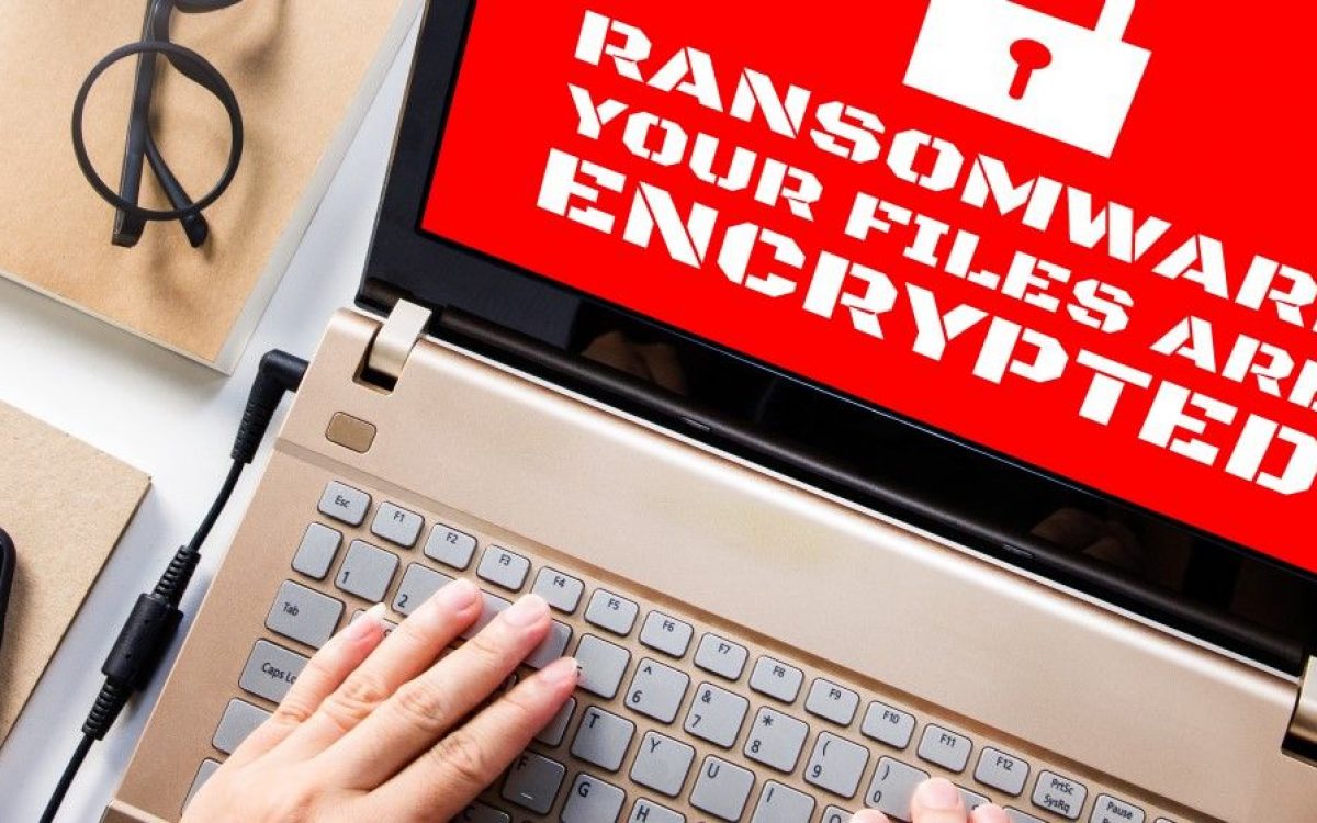 Casi el 70 % de la siniestralidad en las pólizas de seguro ciber tiene su origen en ataques «ransomware», como la sufrida por el SEPE