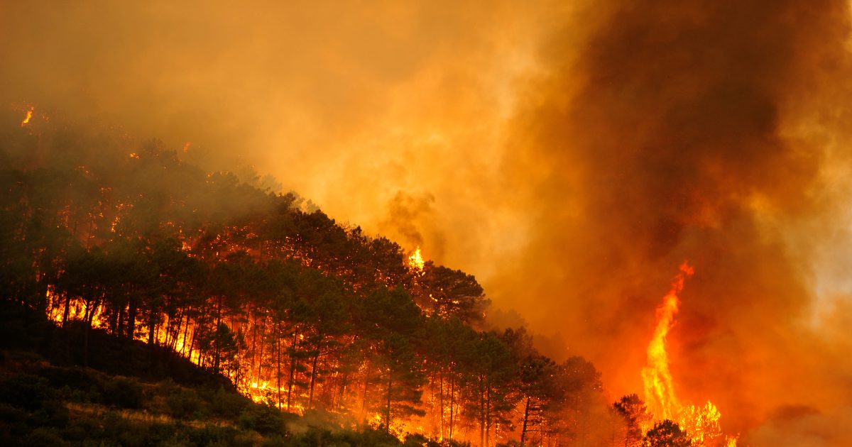 El Supremo fija dos criterios para aplicar las agravantes en los delitos de incendios forestales
