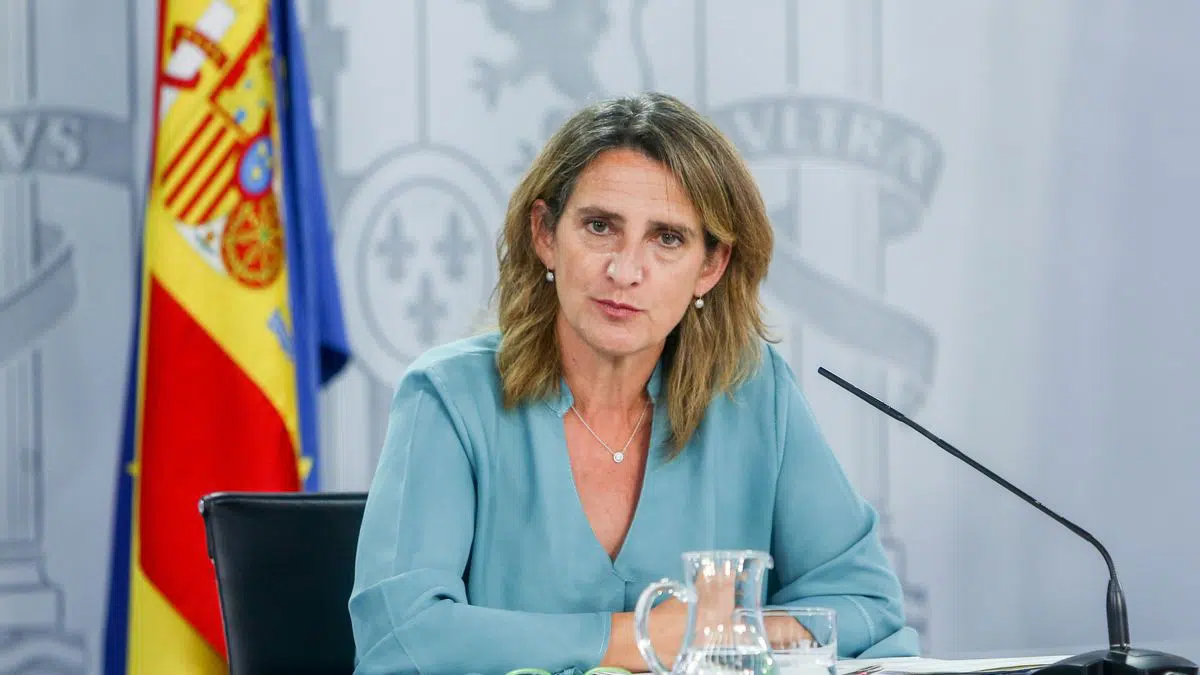 Tres de las cuatro asociaciones defienden a García Castellón de los ataques de Teresa Ribera