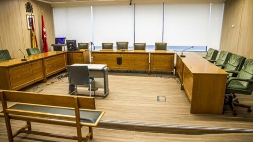 Los hechos nuevos ante la Audiencia Provincial de Familia