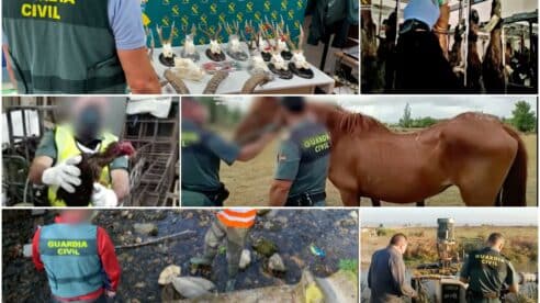 La Guardia Civil ha investigado 5.752 delitos contra el medio ambiente en 2021