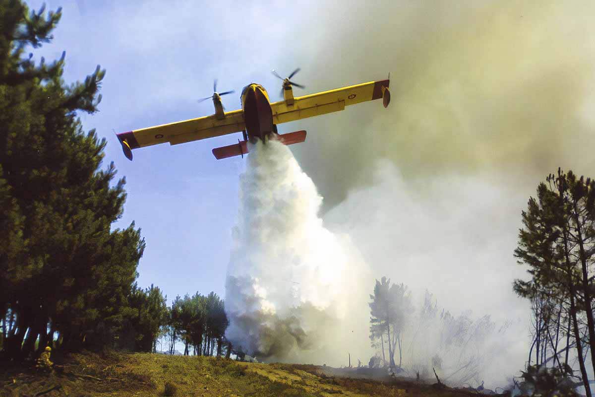 Intereses económicos detrás de los incendios forestales