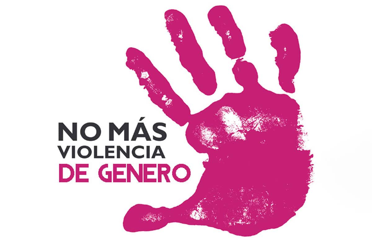 El PSOE propone que las víctimas de violencia de género puedan declarar por videoconferencia desde centros de asistencia