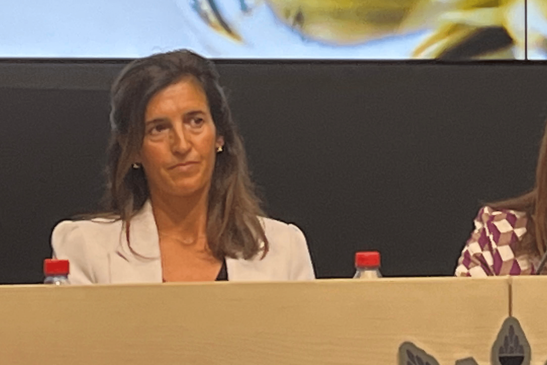 Ana Burgos, en el III Congreso de Derecho Bancario: “Un buen gobierno en las entidades ayuda a alejar en cierta medida el riesgo de las crisis bancarias”