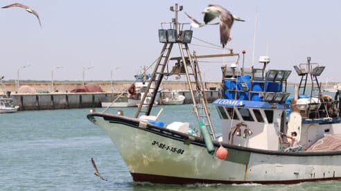 El TSXG reconoce el derecho de un marinero jubilado a percibir el complemento de brecha de género en su pensión