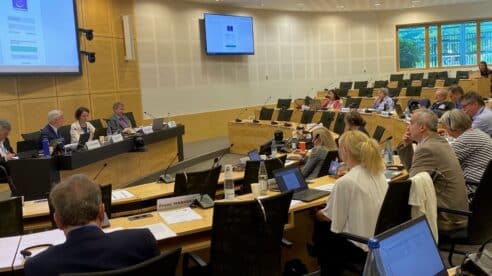 La denuncia de CCOO sobre el despido improcedente, admitida a trámite por el Comité Europeo de Derechos Sociales 