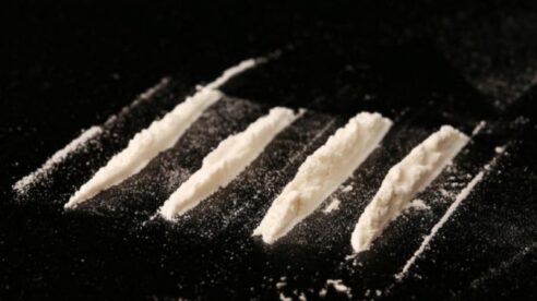 El TS descarta la aplicación de la «doctrina del árbol envenenado» en un caso de tráfico de drogas y aprecia la «excepción del descubrimiento inevitable»