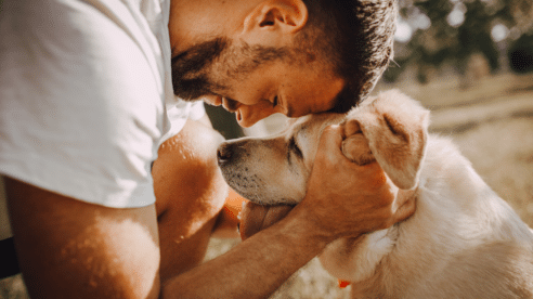 ¿Tendrán derecho las mascotas a visitar a sus dueños en prisión?