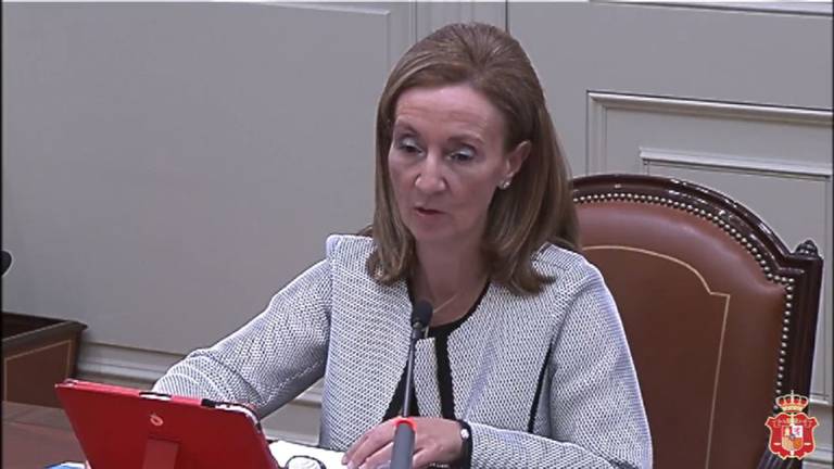María José Renedo Juárez