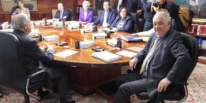 PLENO DEL TRIBUNAL CONSTITUCIONAL