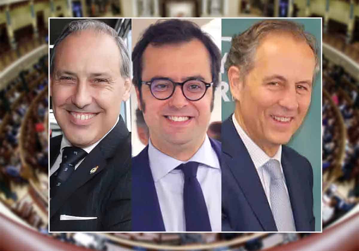 La ley de amnistía a debate el jueves por la tarde en Boadilla del Monte