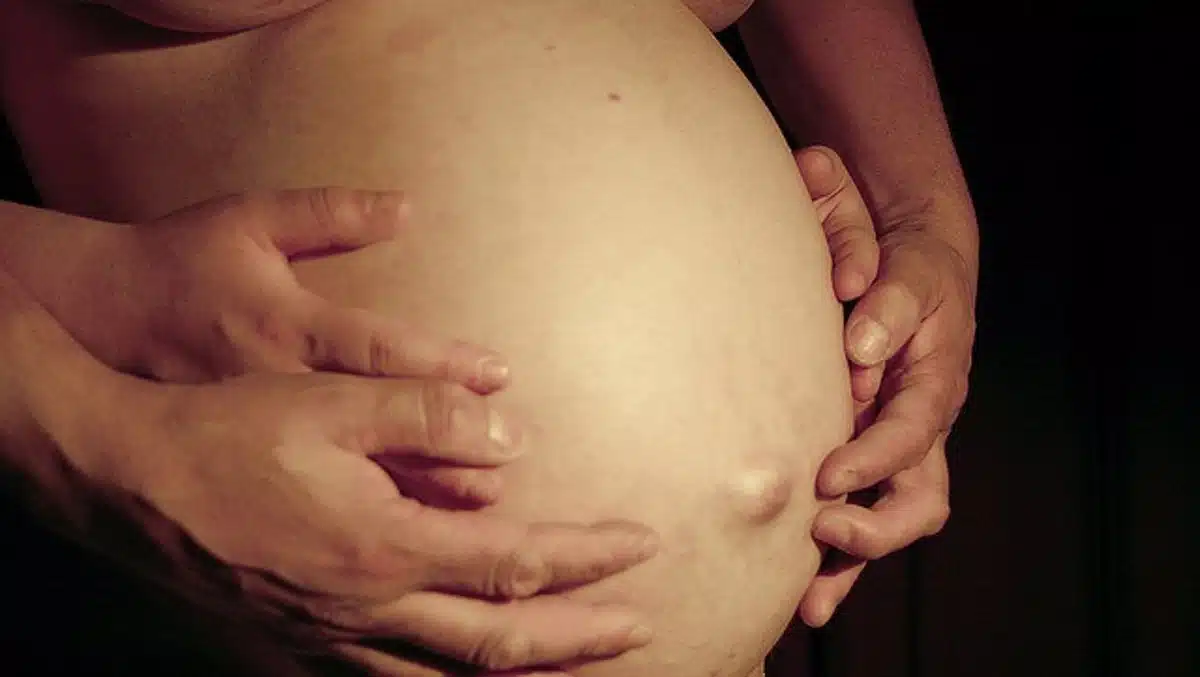 El despido paterno puede ser nulo o improcedente dependiendo del momento del embarazo, según la Justicia