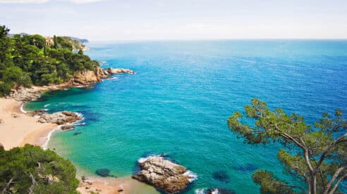 Cuatrecasas entra en Nactiva: el bufete se une a la regeneración natural del Mediterráneo desde el sector legal