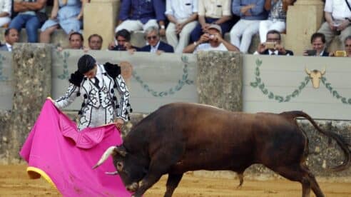 El Supremo desestima conceder el desempleo de artista a un profesional taurino tras los cierres obligatorios por Covid-19