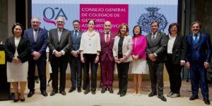 Comisión Ejecutiva Gestores Administrativos