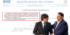 BOE amnistía