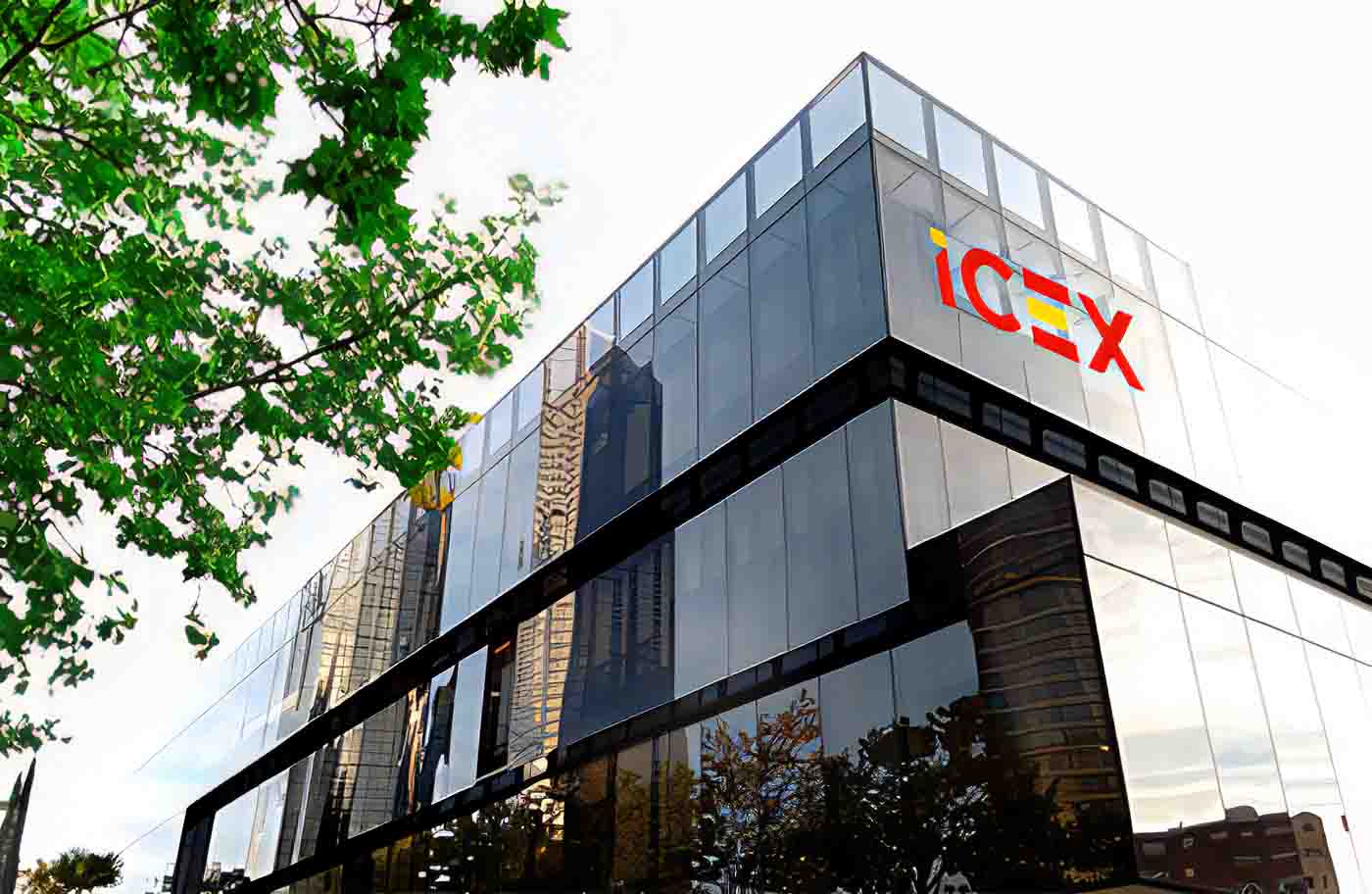 Condenado consultor del ICEX por violar un pacto de confidencialidad con la empresa Granfruit Agro