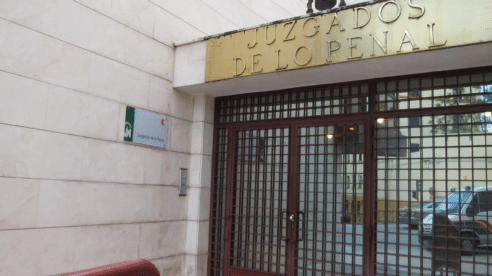 Condenado a un año de cárcel y 2000 euros de indemnización por maltratar a sus tres galgas, a las que tenía en «total abandono»