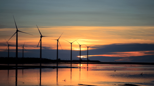 Suspenden cautelarmente 7 parques eólicos gallegos por el riesgo de daños irreparables al medio ambiente