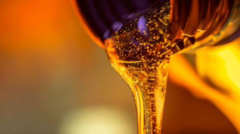 La ONG Transport & Environment denuncia el fraude en los aceites de cocina usados como biocombustibles en Europa