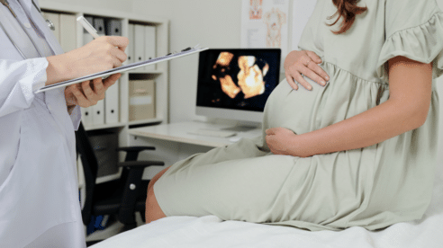 La asociación Son Nuestros Hijos reclama para España una ley de gestación subrogada altruista como la danesa