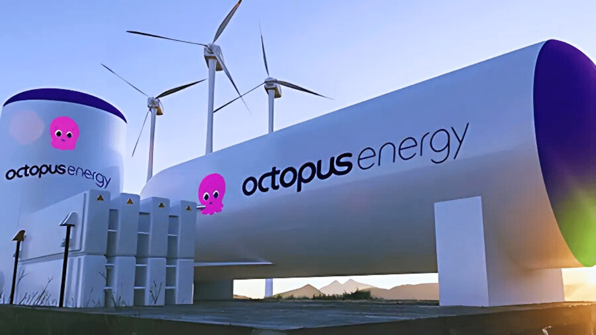 Octopus Energy paga 441.000 euros a la OCU tras ganar el concurso como proveedor para sus socios