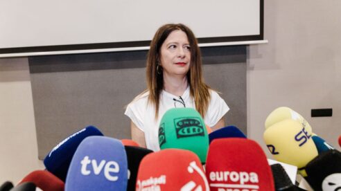 El Senado llamará de nuevo a Marlaska y Cerdán por el ‘caso Koldo’ y también por Leire Díez