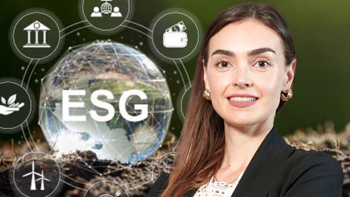 Opinión | La importancia de los auditores en los riesgos de corrección asociados a ESG