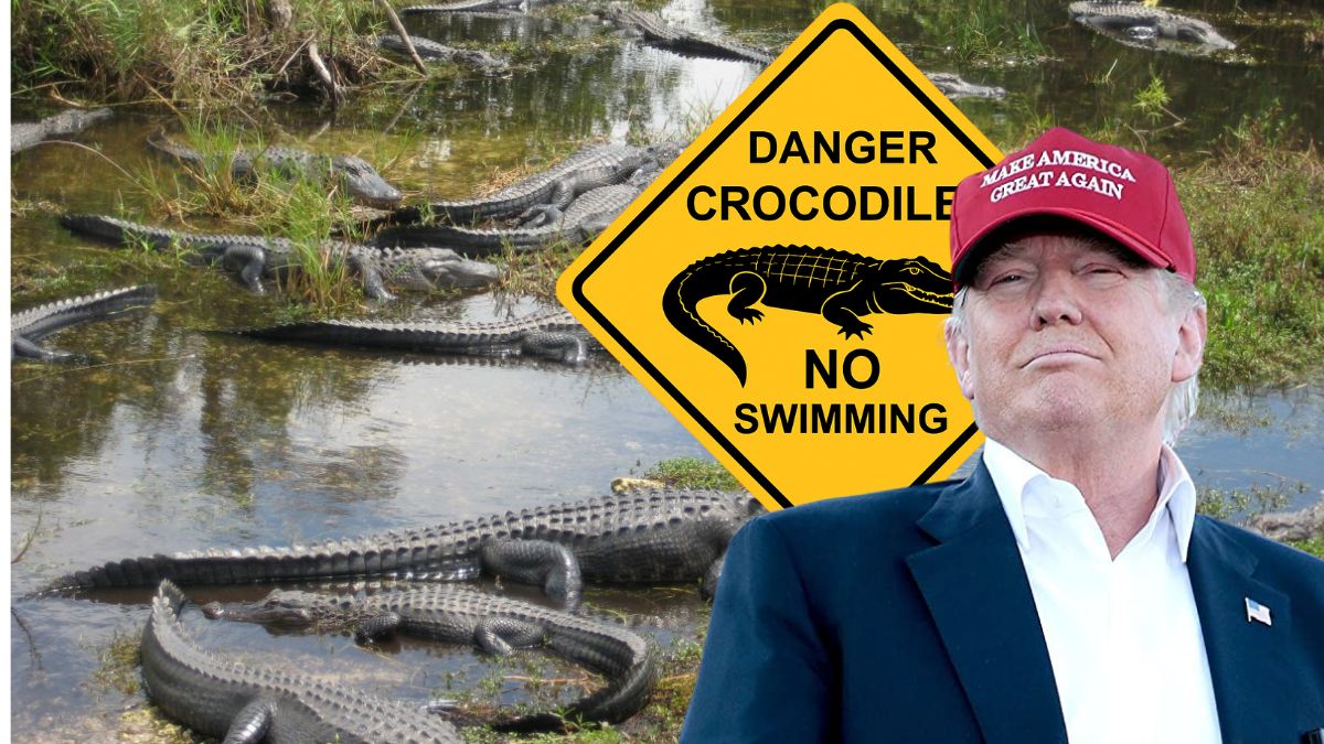 Trump imita a Bukele y levanta «Alligator Alcatraz», una prisión rodeada de caimanes para migrantes en Florida