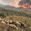 Cambio climático