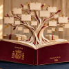 Pasaporte español y árbol genealógico de papel