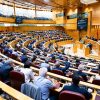Senado