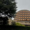 Tribunal Constitucional